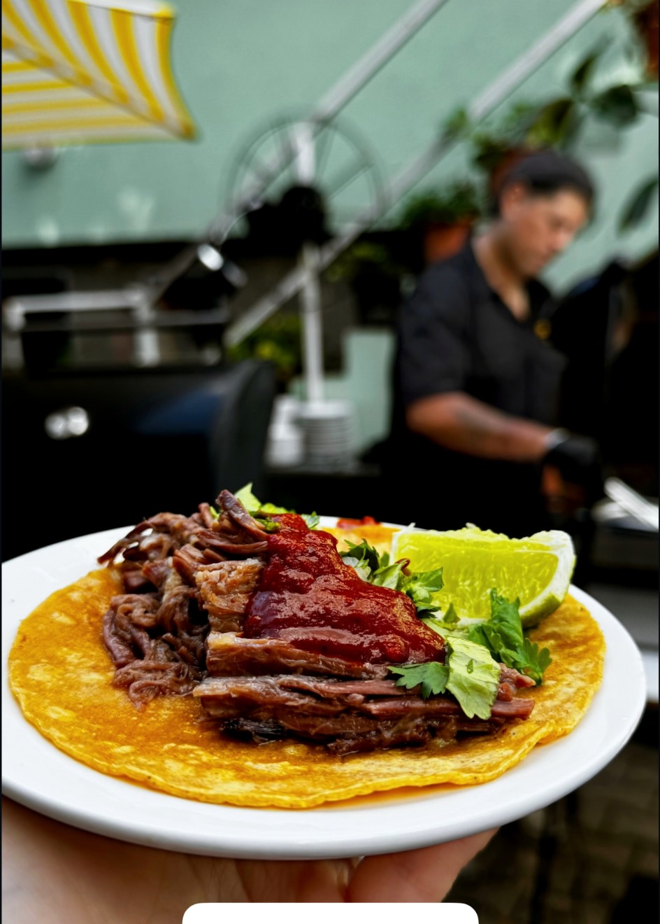 Birria taco with salsa, herbs and lime, served at an event